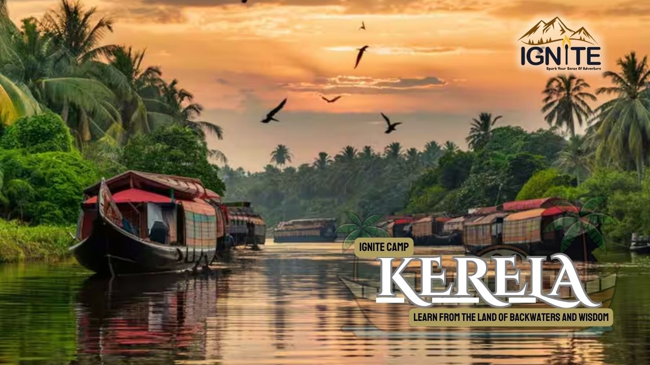 Backwater cruise through Kerala's serene waterways
